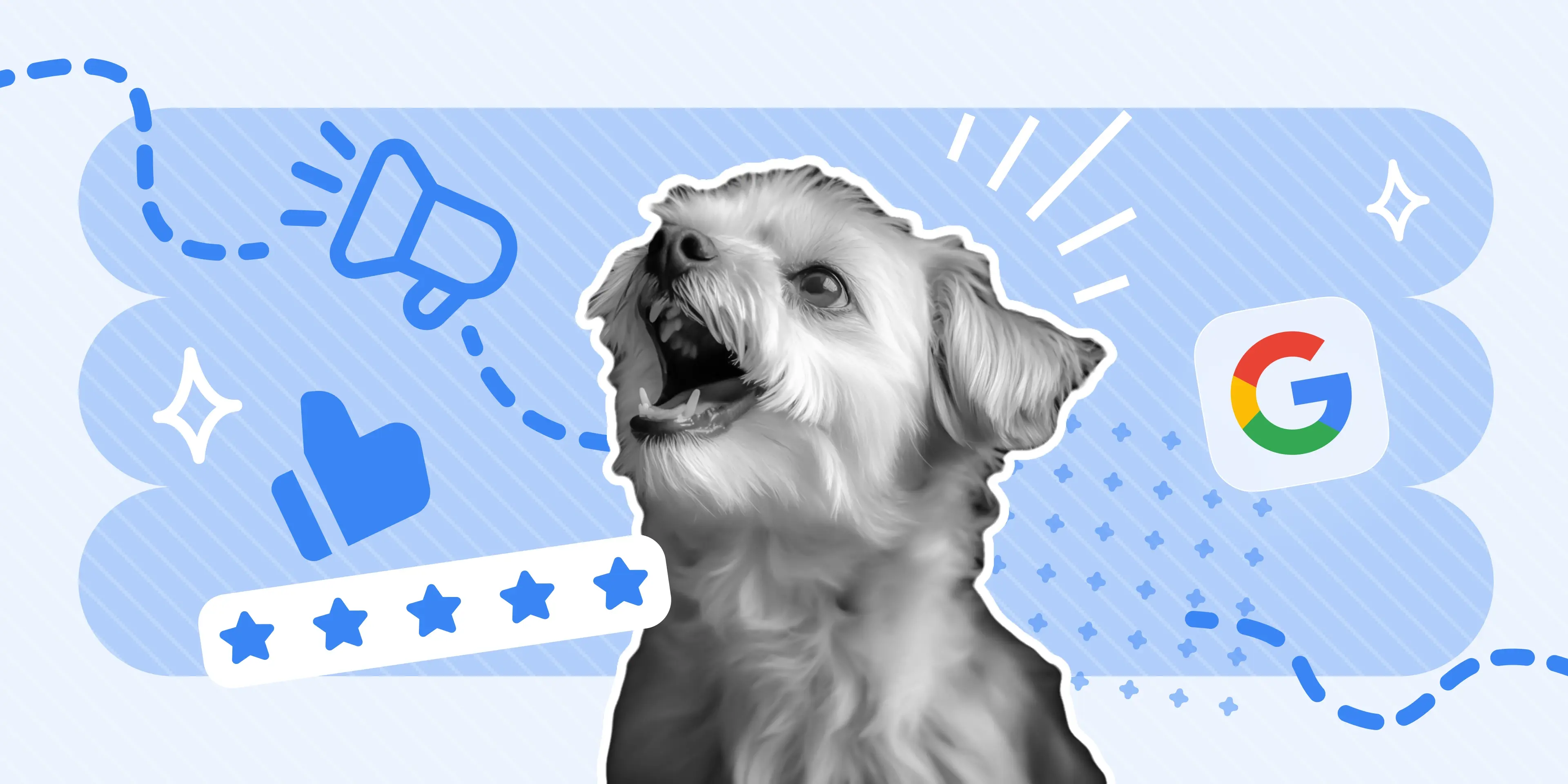 7 Pet Grooming Marketing Strategies (That Aren’t Paid Ads) - MoeGo